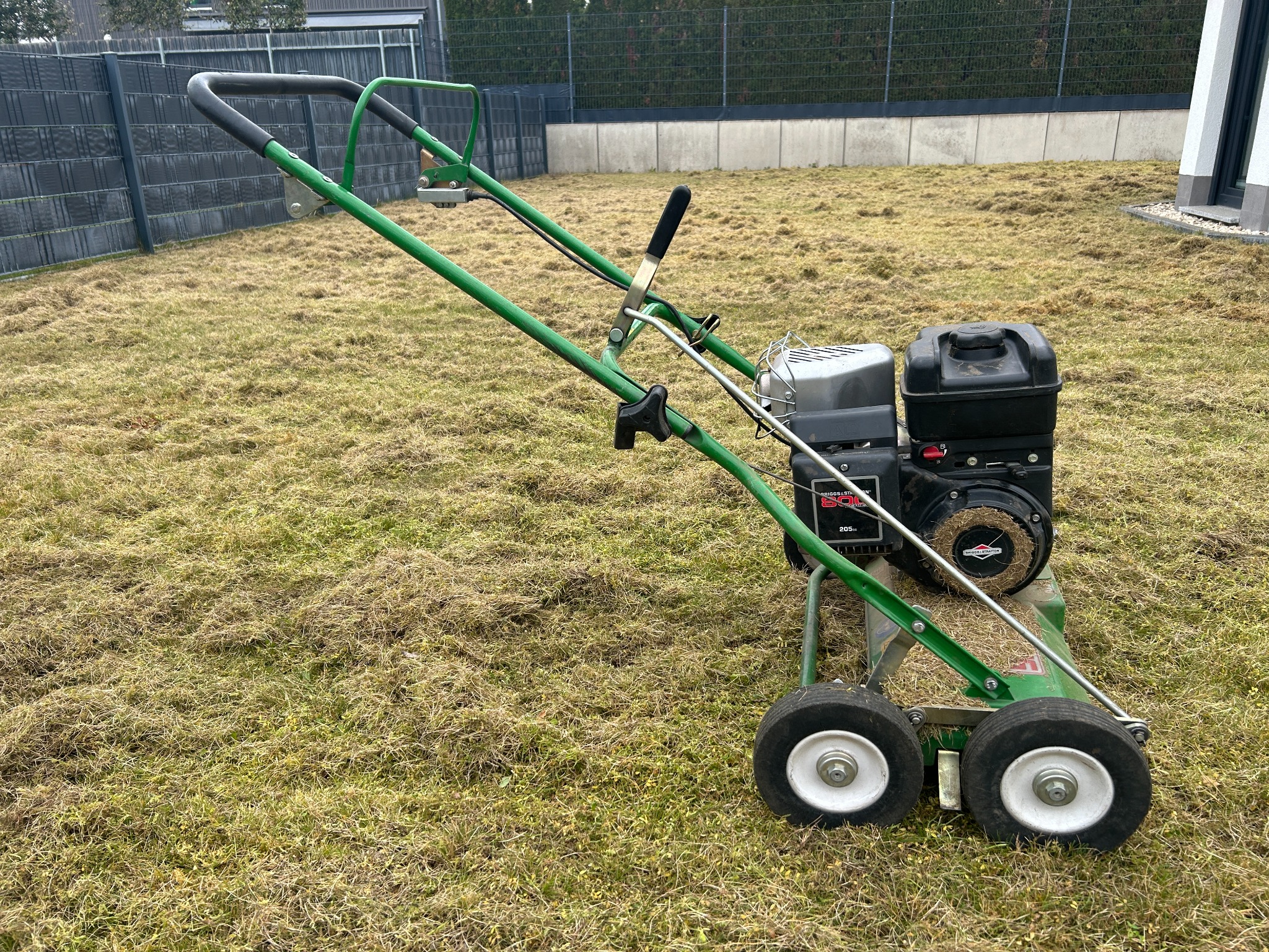 Rasen Vertikutiert 04-2026